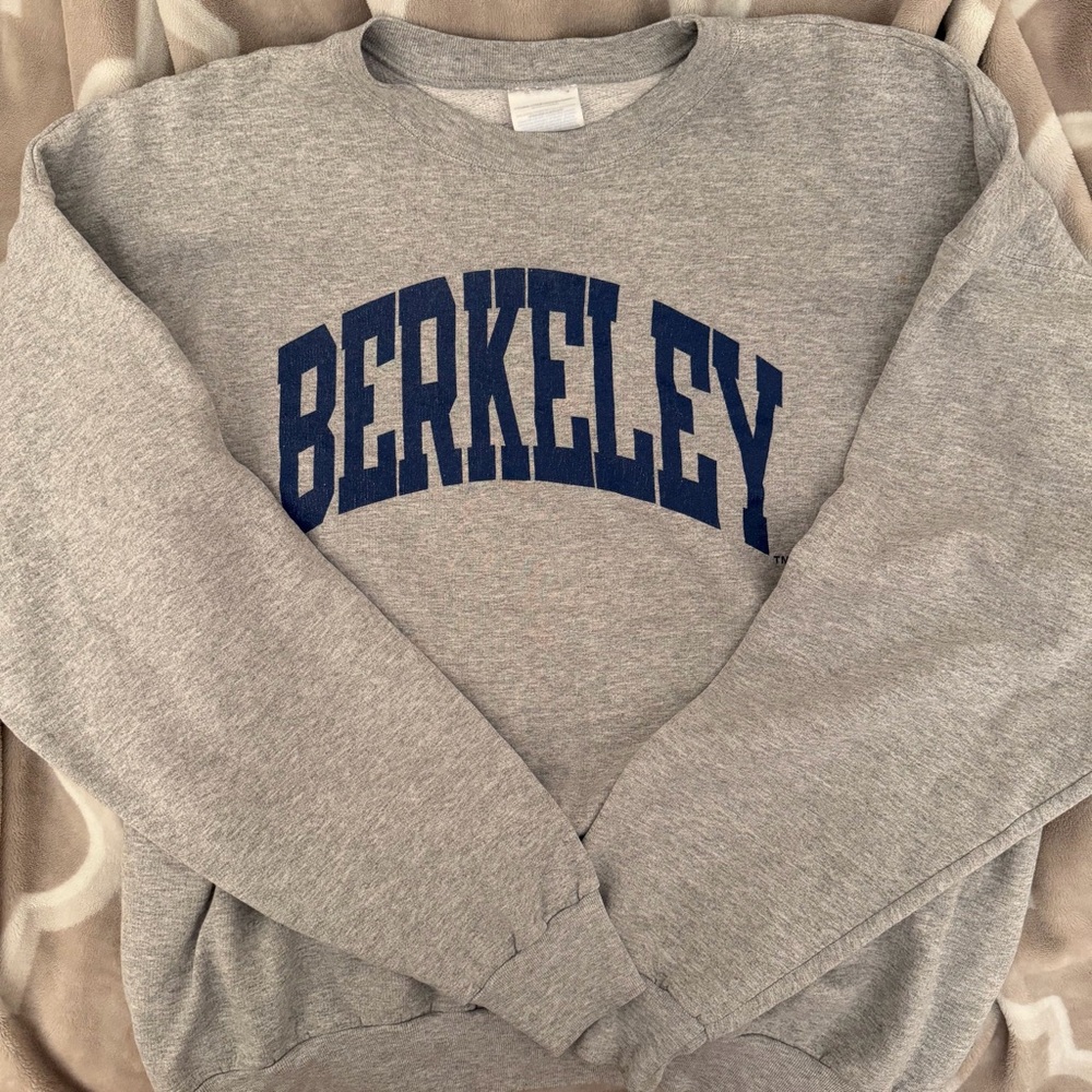 Berkeley Arch Crewneck Sweatshirt OVERSIZED FIT- Gray with Navy Print